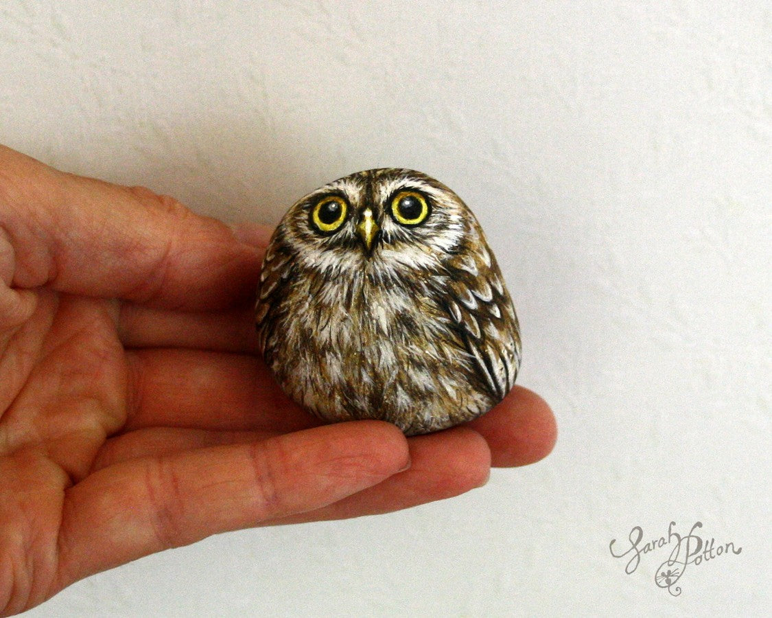 little owl painted rock