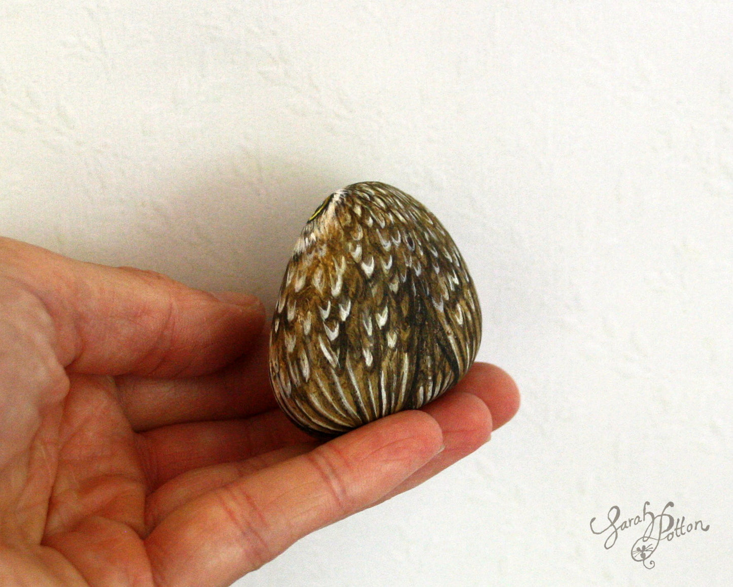 Painted Stone - NZ Little Owl