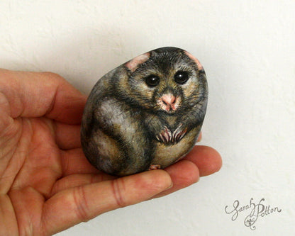 Painted Stone - NZ Possum