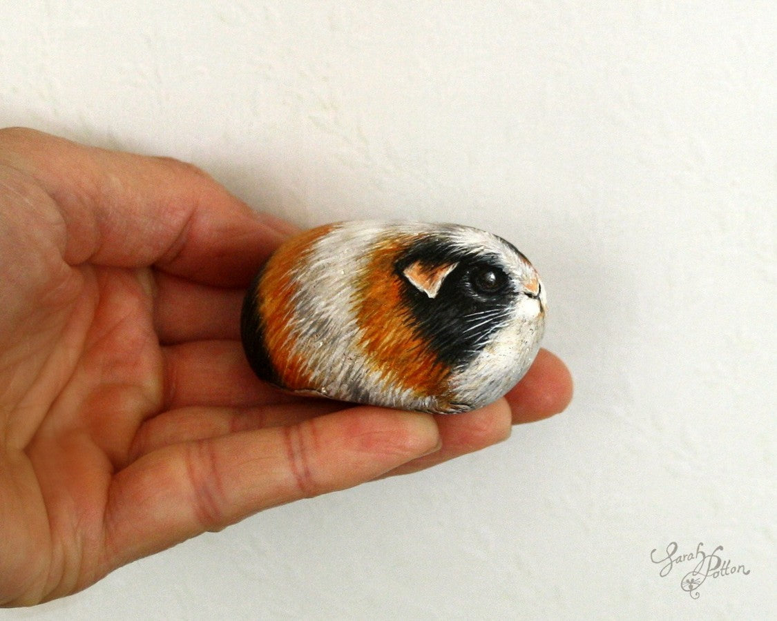 black ginger and white guinea pig painted rock