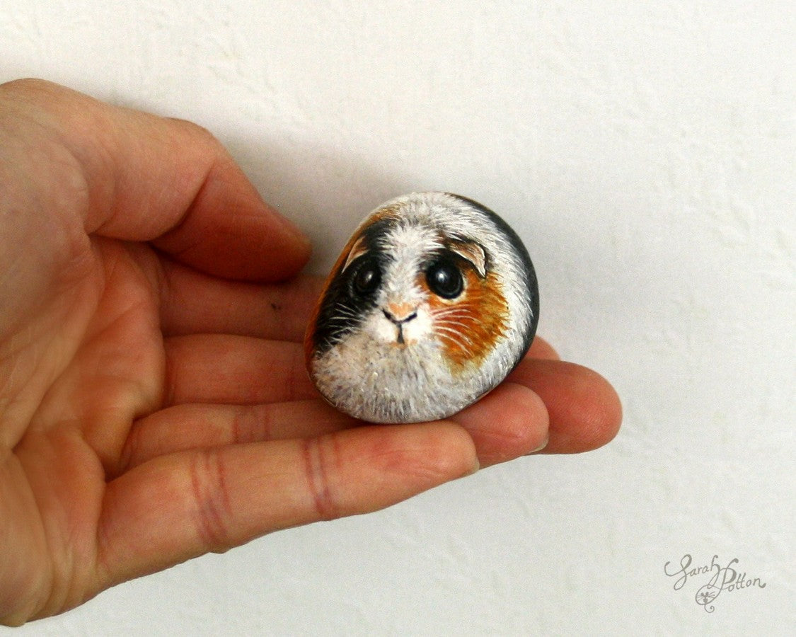 tricolour guinea pig painted stone