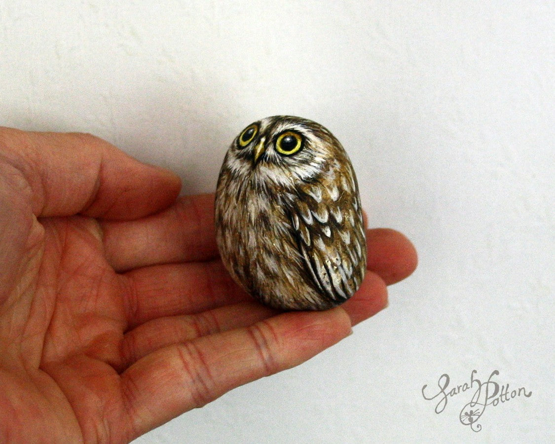 little owl fledgling painted on a stone- nz art