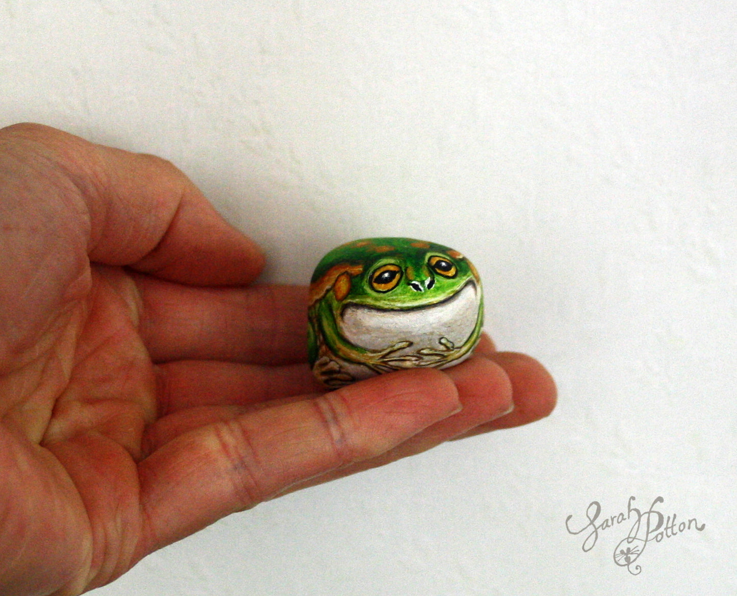 Painted Stone - NZ Frog