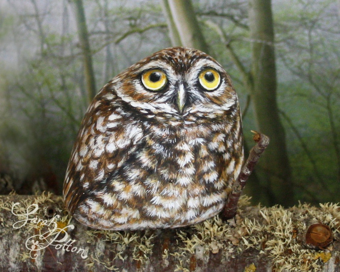 little owl hand painted on rock
