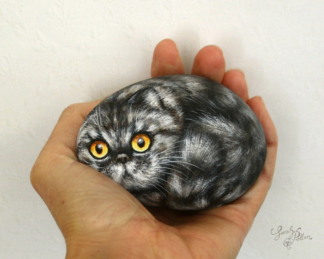 grey fluffy persian cat painted stone