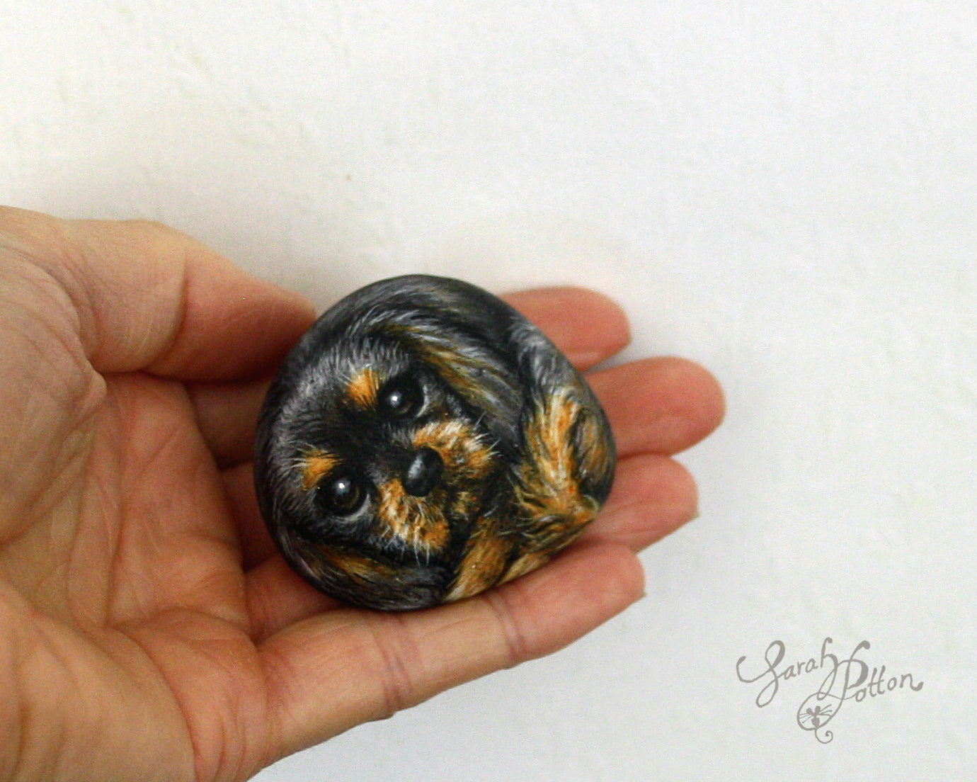 Painted Stones - Cavalier King Charles Spaniel Dogs