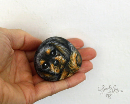Painted Stones - Cavalier King Charles Spaniel Dogs