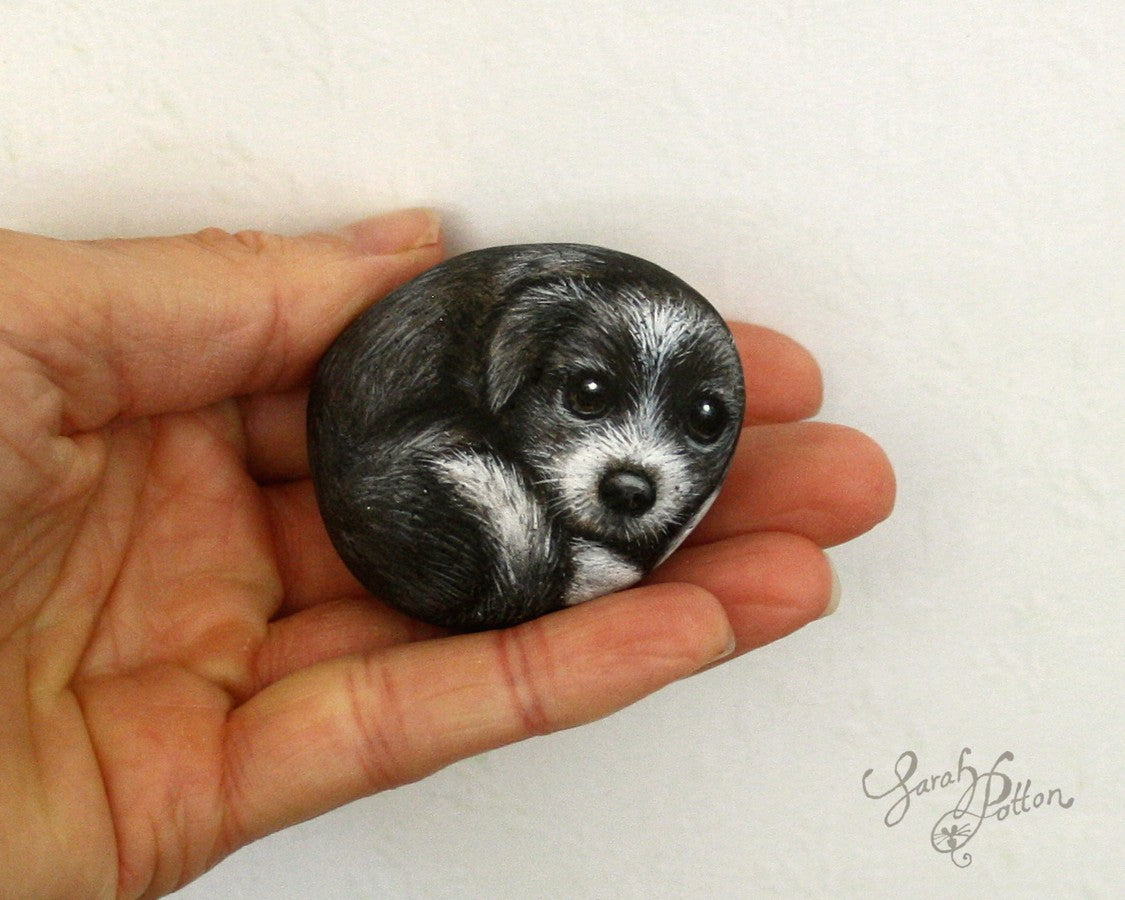 border collie puppy dog painted rock