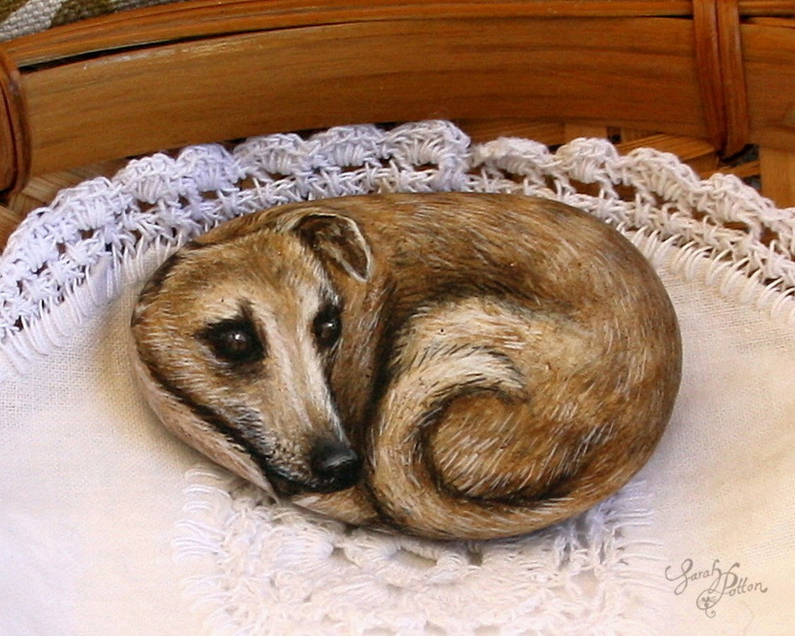 fawn greyhound painted rock