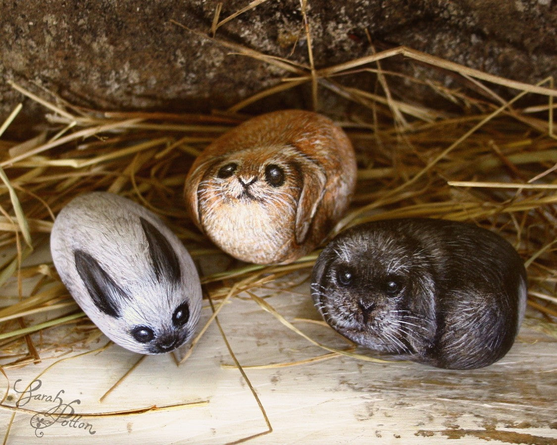 tiny rock animals miniature bunnies
