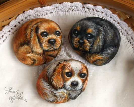 Painted Stones - Cavalier King Charles Spaniel Dogs