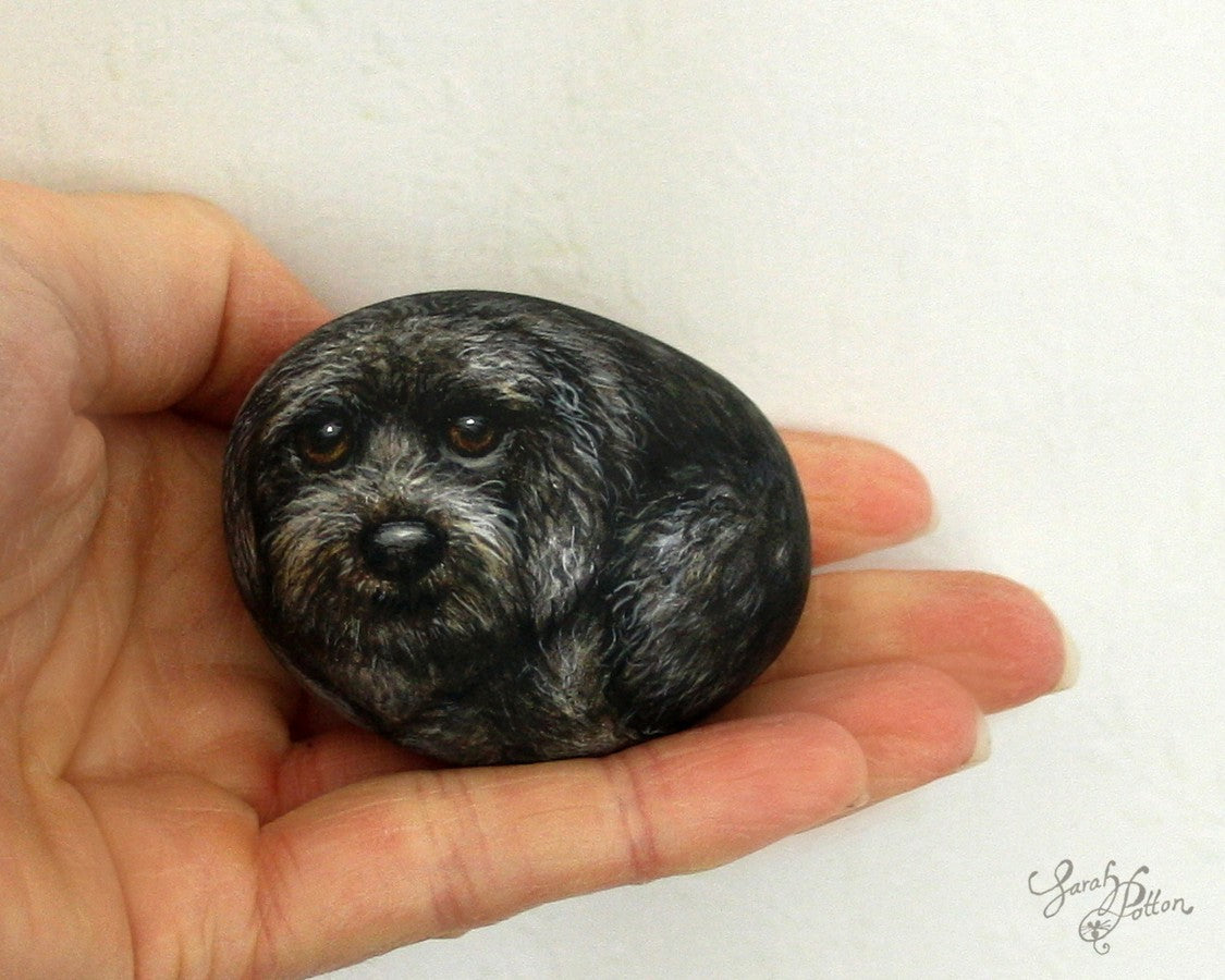 black spoodle dog painted rock