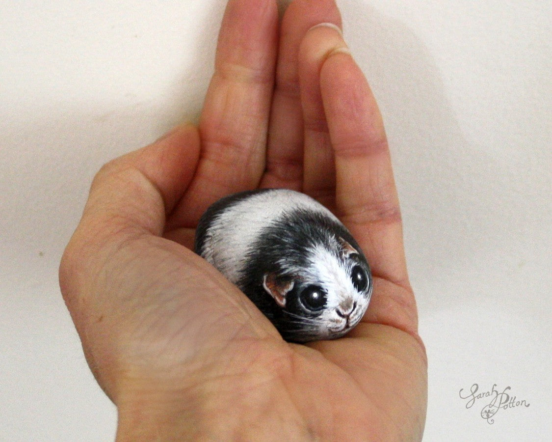 black and white guinea pig painted rock