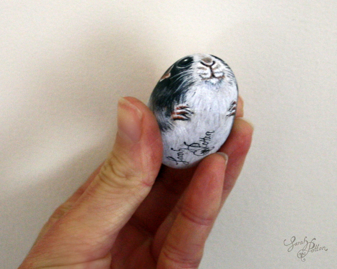 baby guinea pig painted pebble