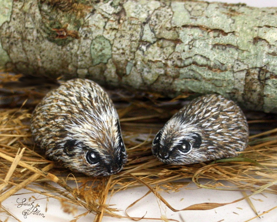 tiny hedgehog art painted pebbles