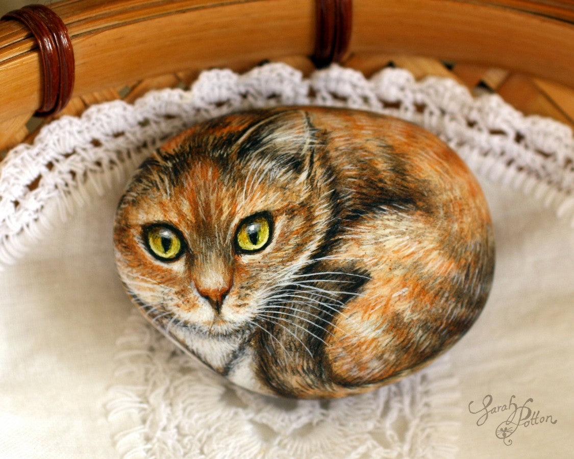 tortoiseshell cat portrait - custom pet art on rocks