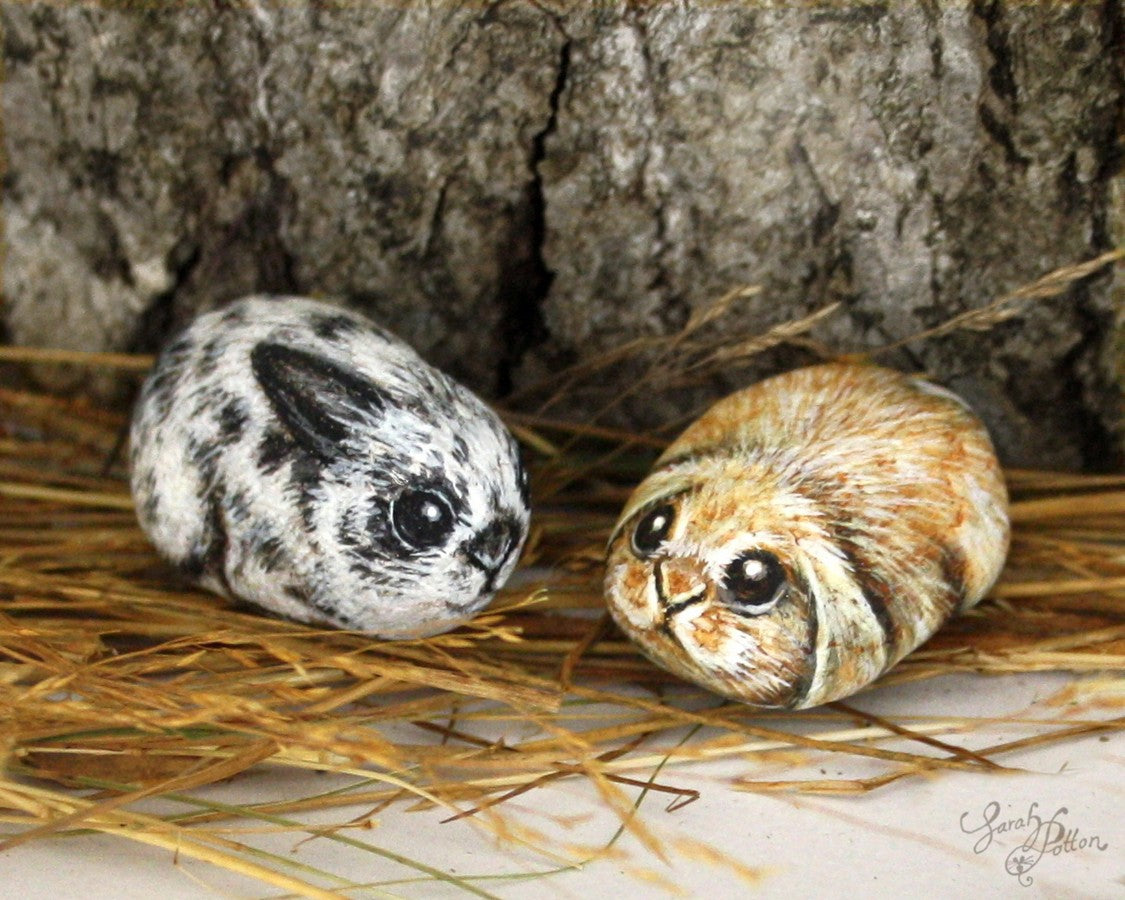 miniature rabbit pebble paintings