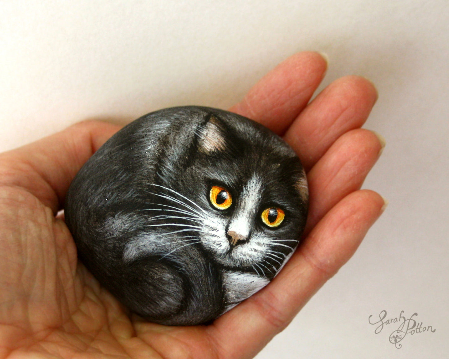 Black & White Cat Painted Rock