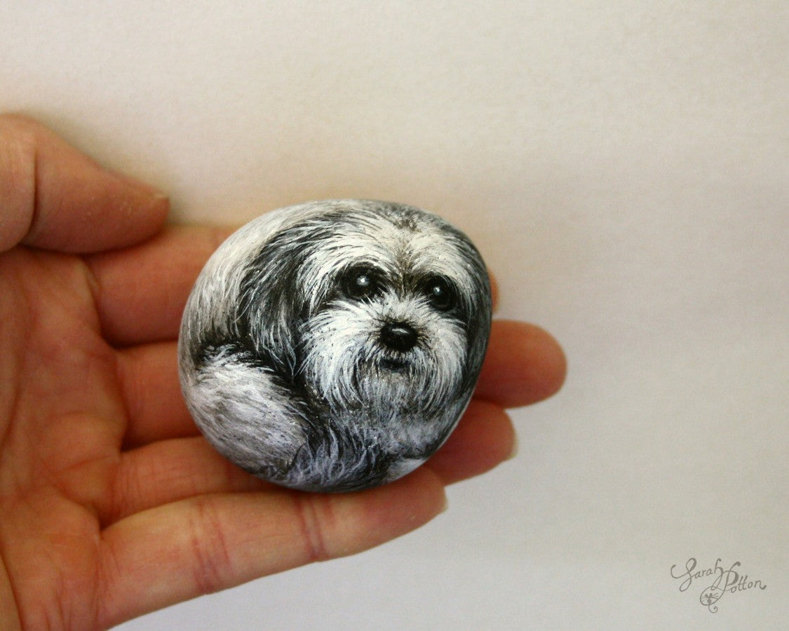 white shih tzu puppy dog painted on a stone