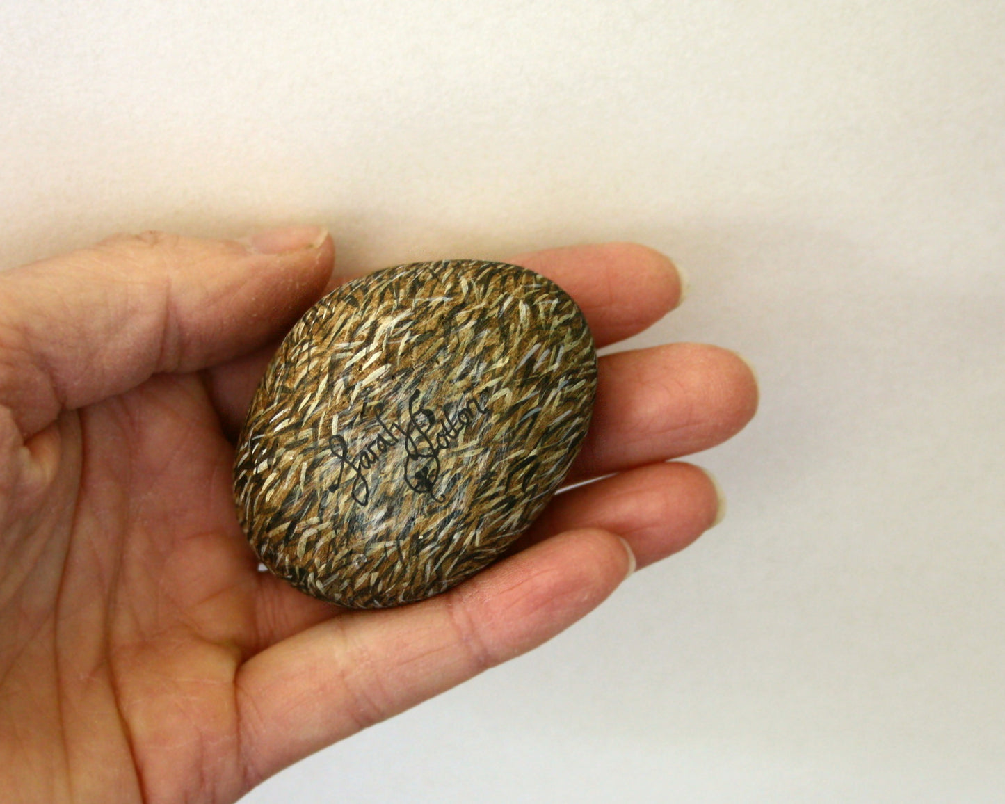 Painted Stone - Sleeping Hedgehog
