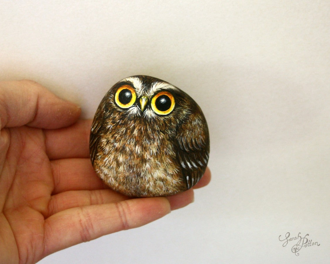 nz bird rock art of a baby morepork owl