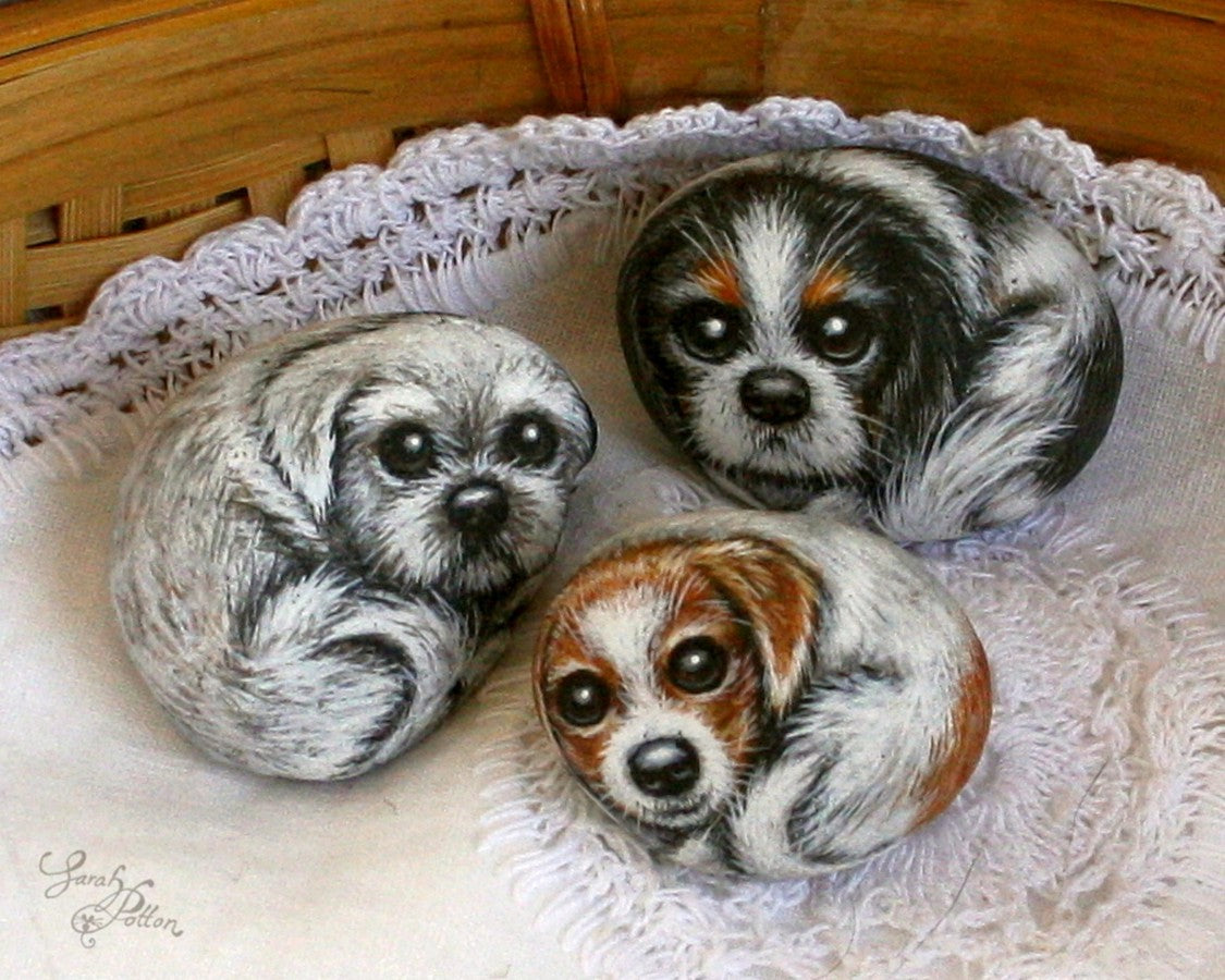 cute puppy painted stones - jack russell, maltese, spaniel