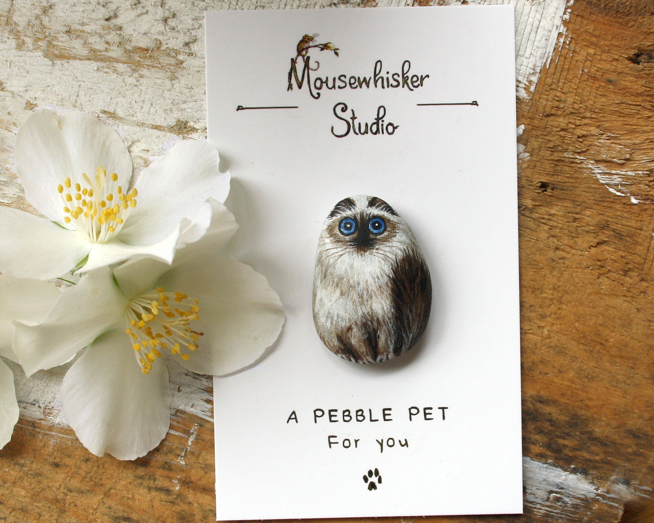 Pet Sympathy Gift Brooch - Custom Cat Portrait Art Jewellery
