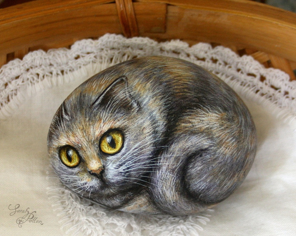 british shorthair cat painted stone - pet portrait