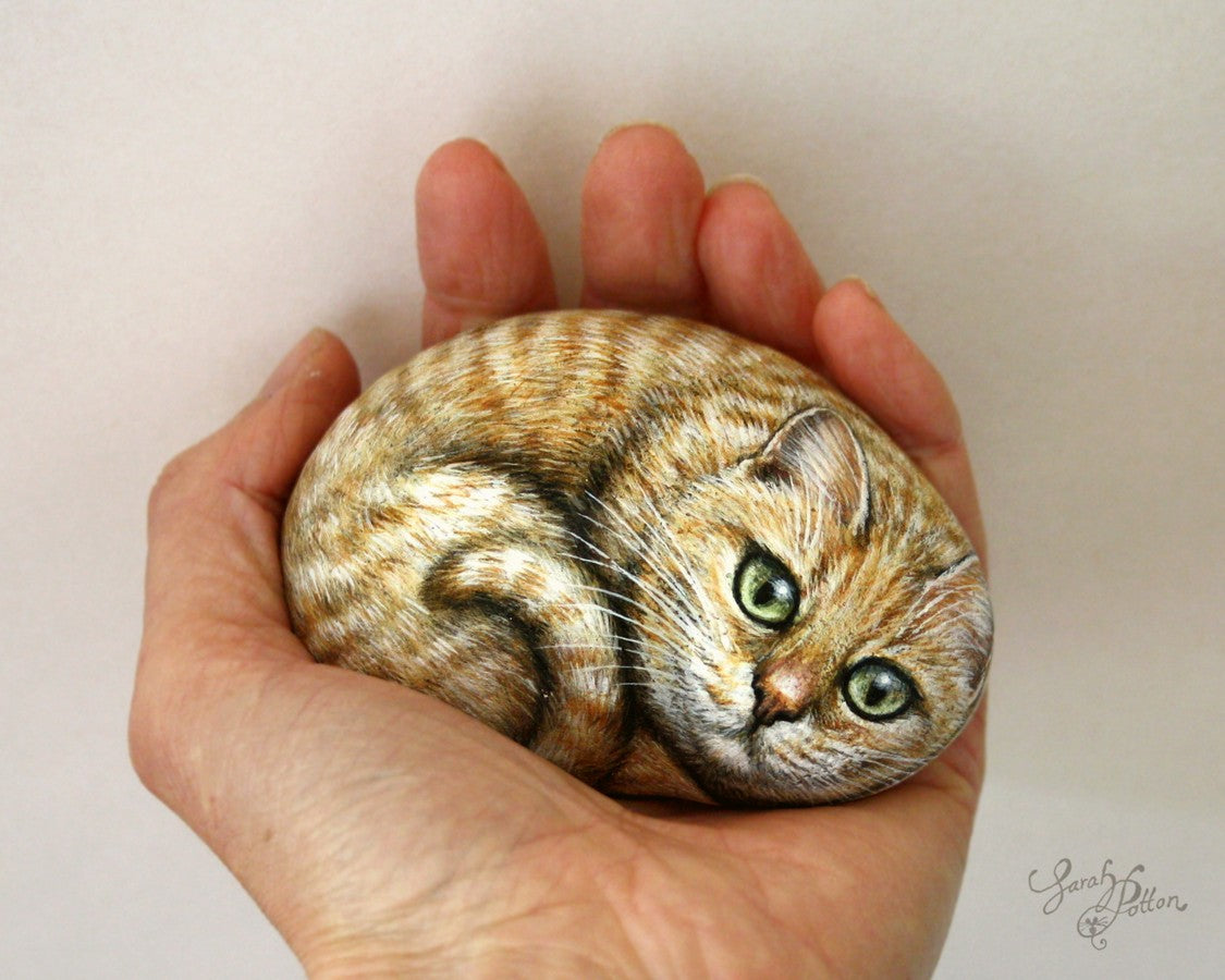  ginger tabby painted cat rock portrait by nz artist