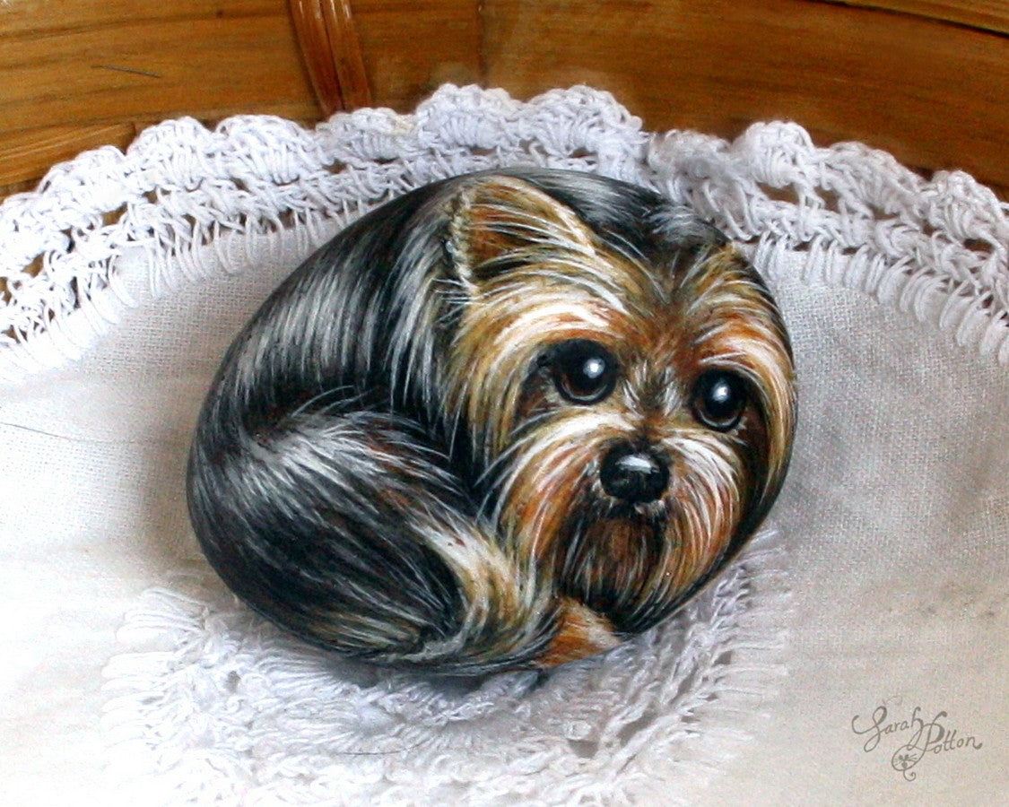 yorkshire terrier painted stone animal