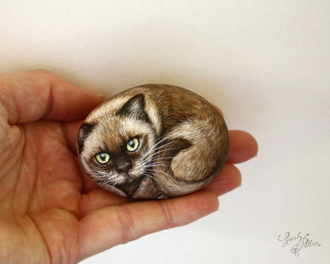 burmese cat painted rock - custom painting