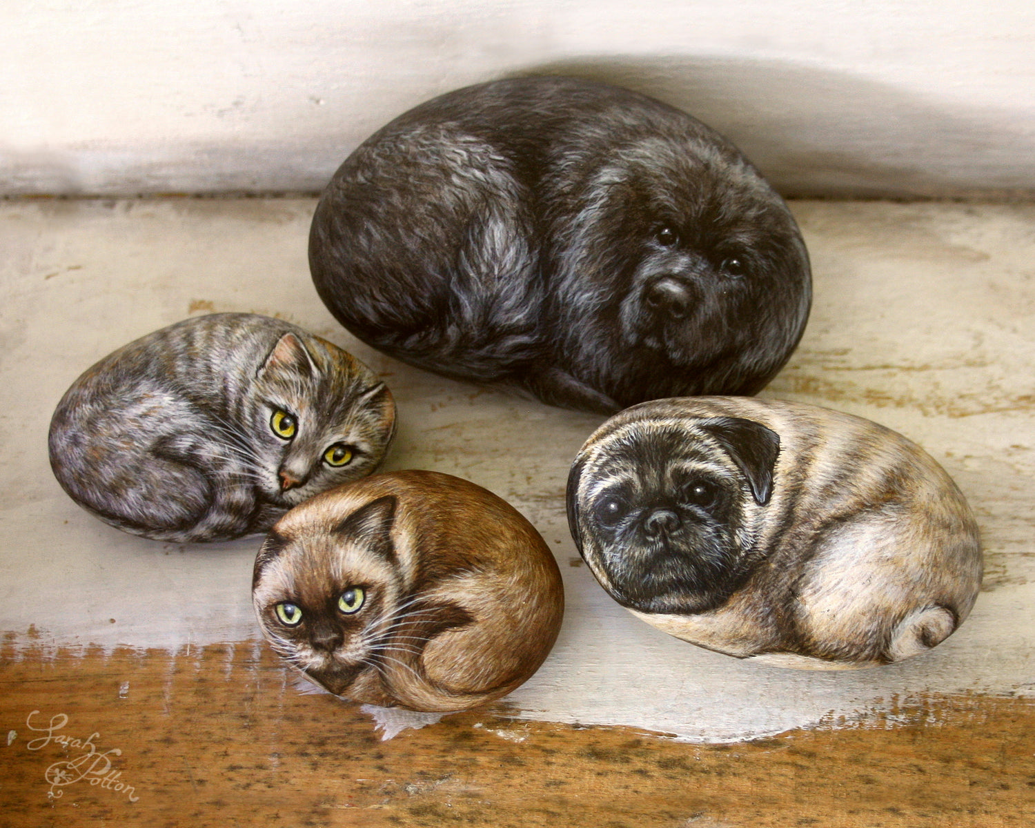 Pet Portraits - NZ Cat & Dog Custom Art
