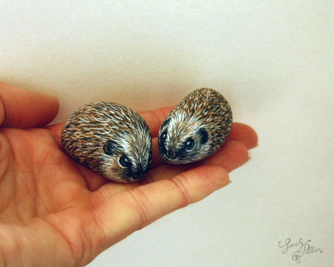 realistic hedgehog miniature painted rocks nz art