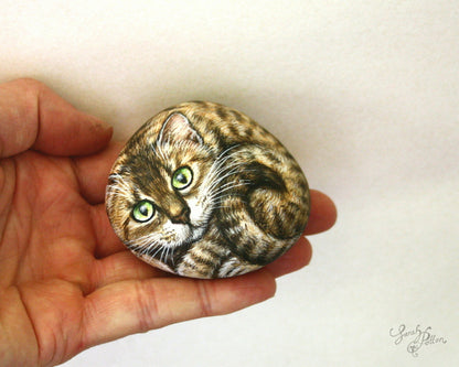 Painted Cat Rocks - Black, Ginger Tabby & Bengal