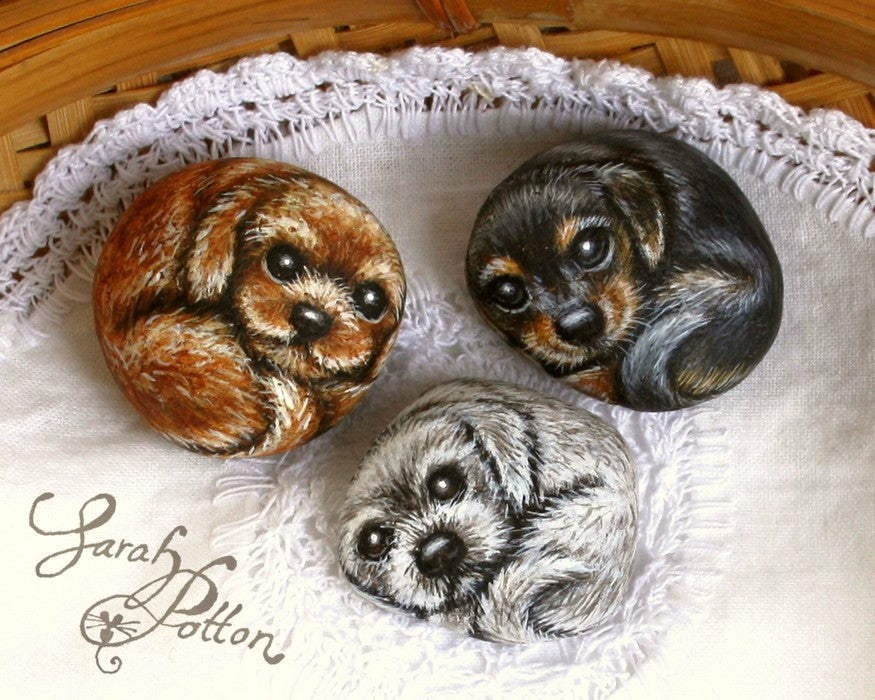 Tiny Dog Rock Paintings - Gift Ideas NZ