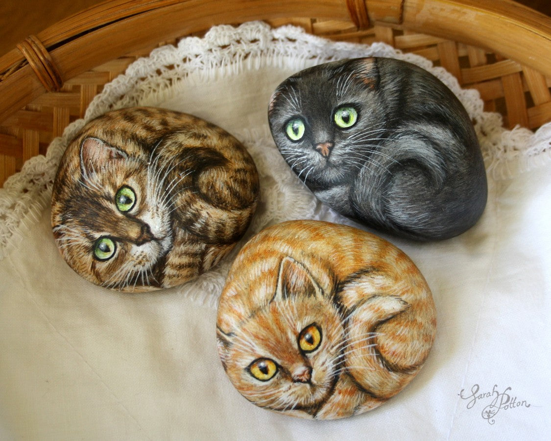 painted rocks of cats - animal art