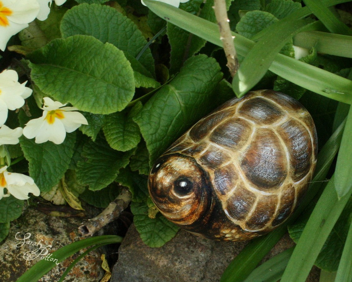 tortoise painted stone - animal ornament