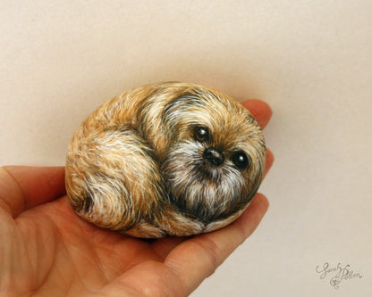Pet Portrait Painted Rock