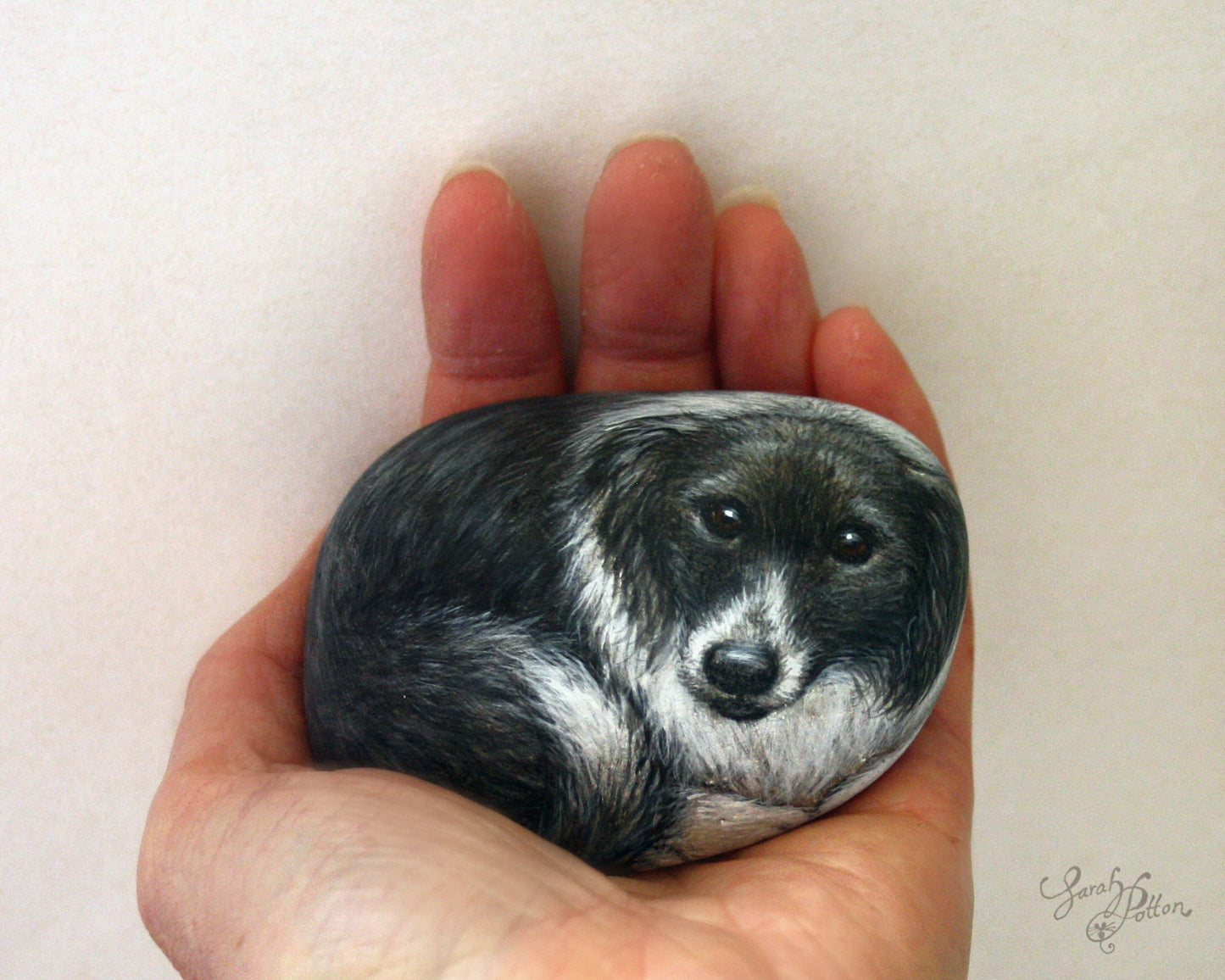 Pet Portrait Painted Rock