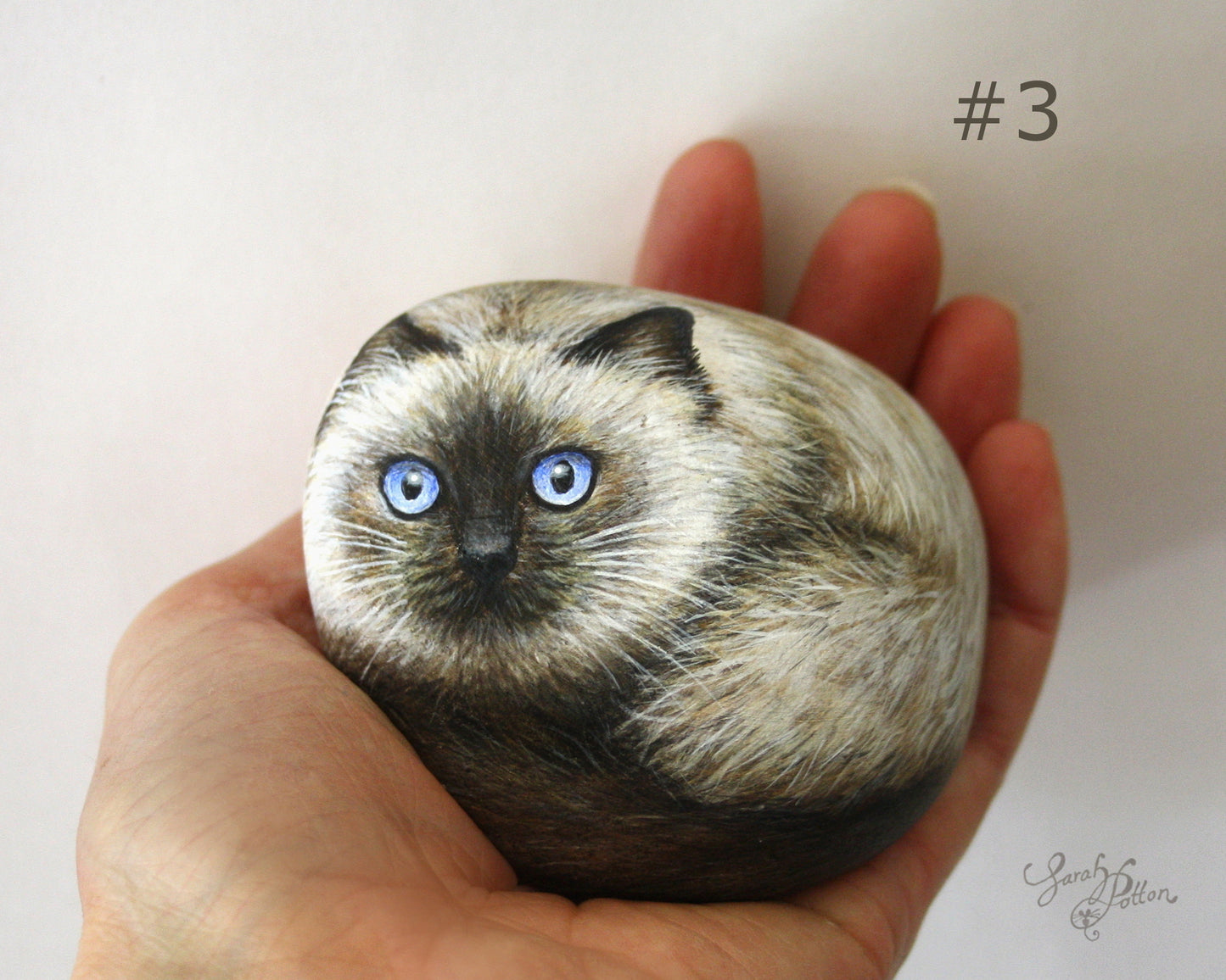 Painted Rock - Ragdoll Cat for Sale