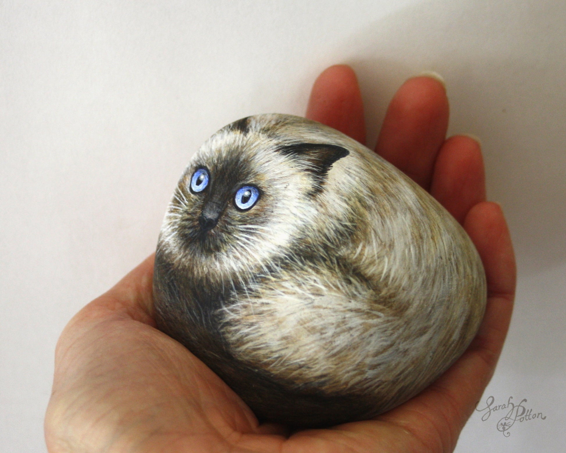 Ragdoll Cat - Animal Stone Art NZ