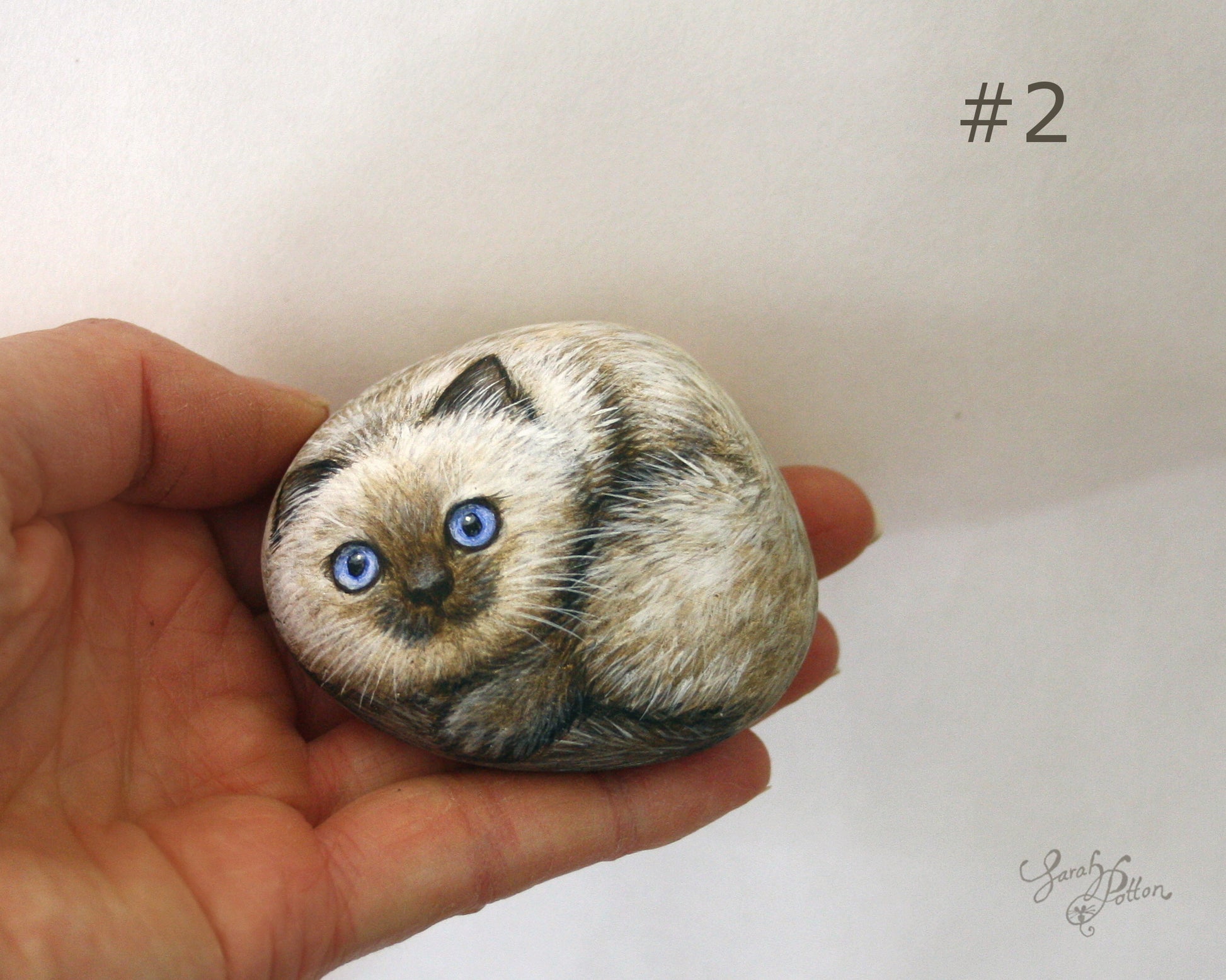 Cute Ragdoll Cat Painting on a Stone
