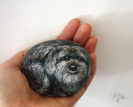 Schnoodle Dog Painted Rock
