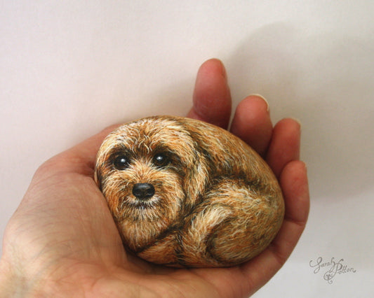 Cavoodle Dog Painted Rock