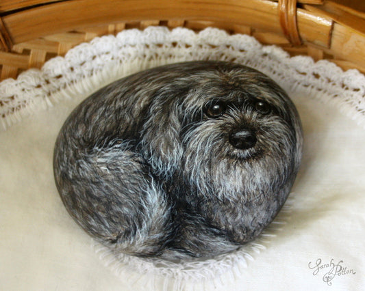 Schnoodle Dog Painted Rock