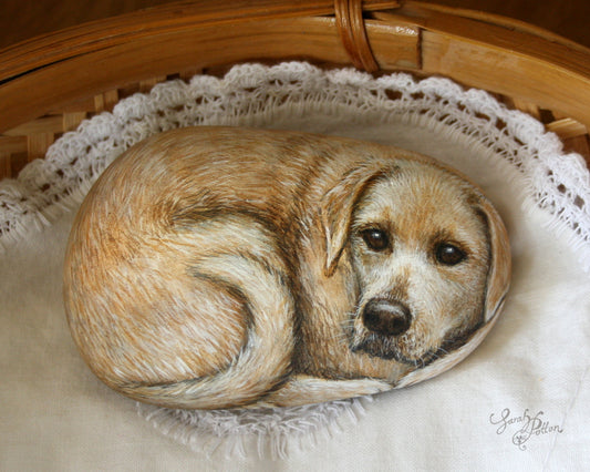 Painted Rock - Golden Labrador Retriever Dog