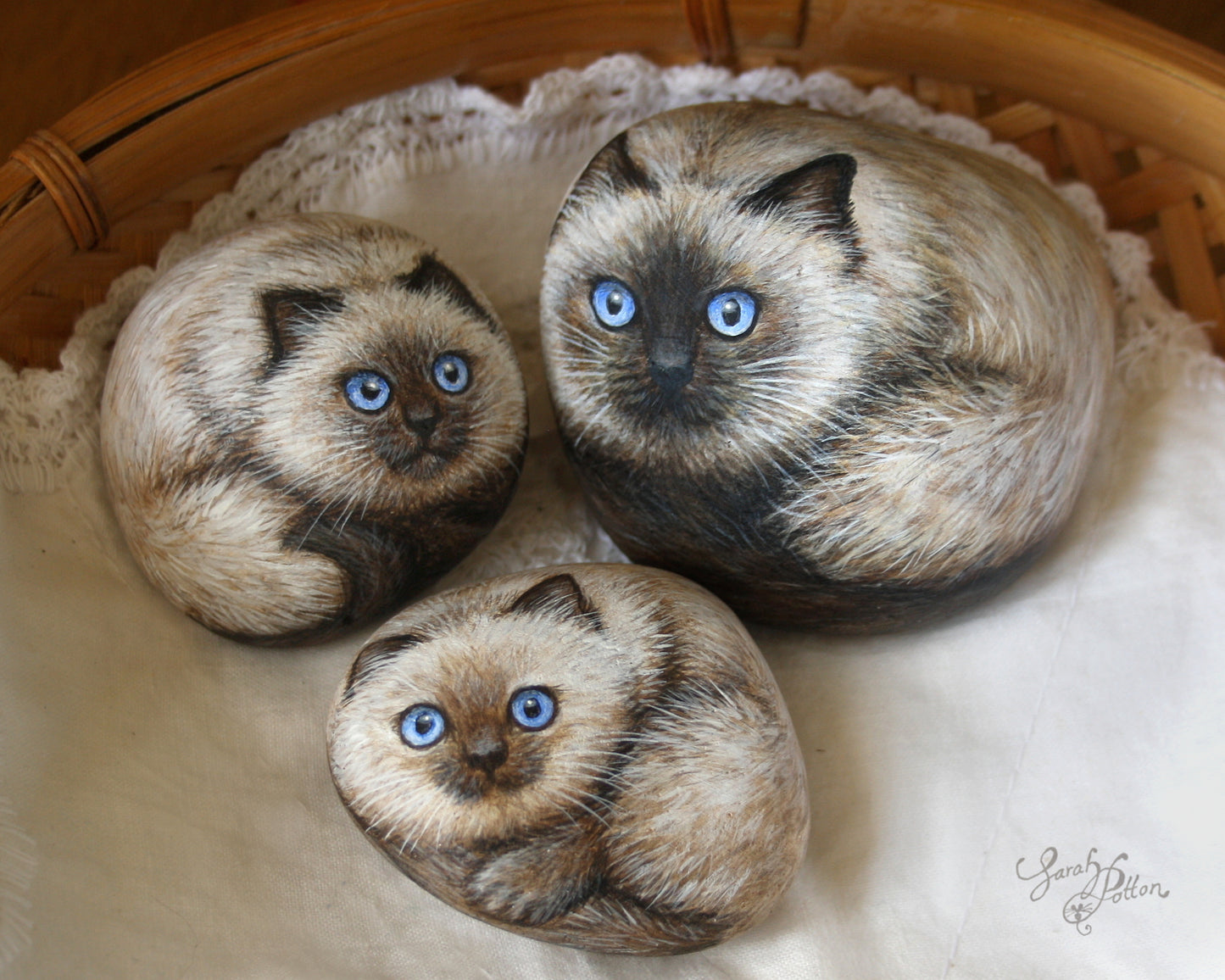 Ragdoll Cat Painted Rocks