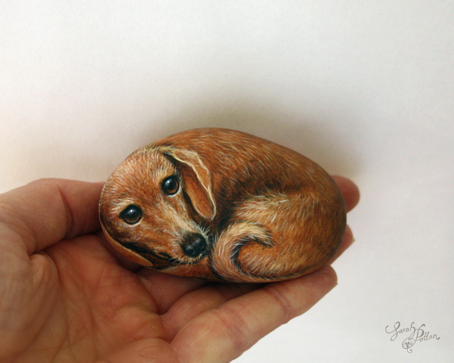 Dachshund Painted Rock