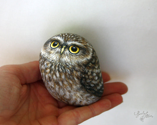 Painted Rock - NZ Little Owl