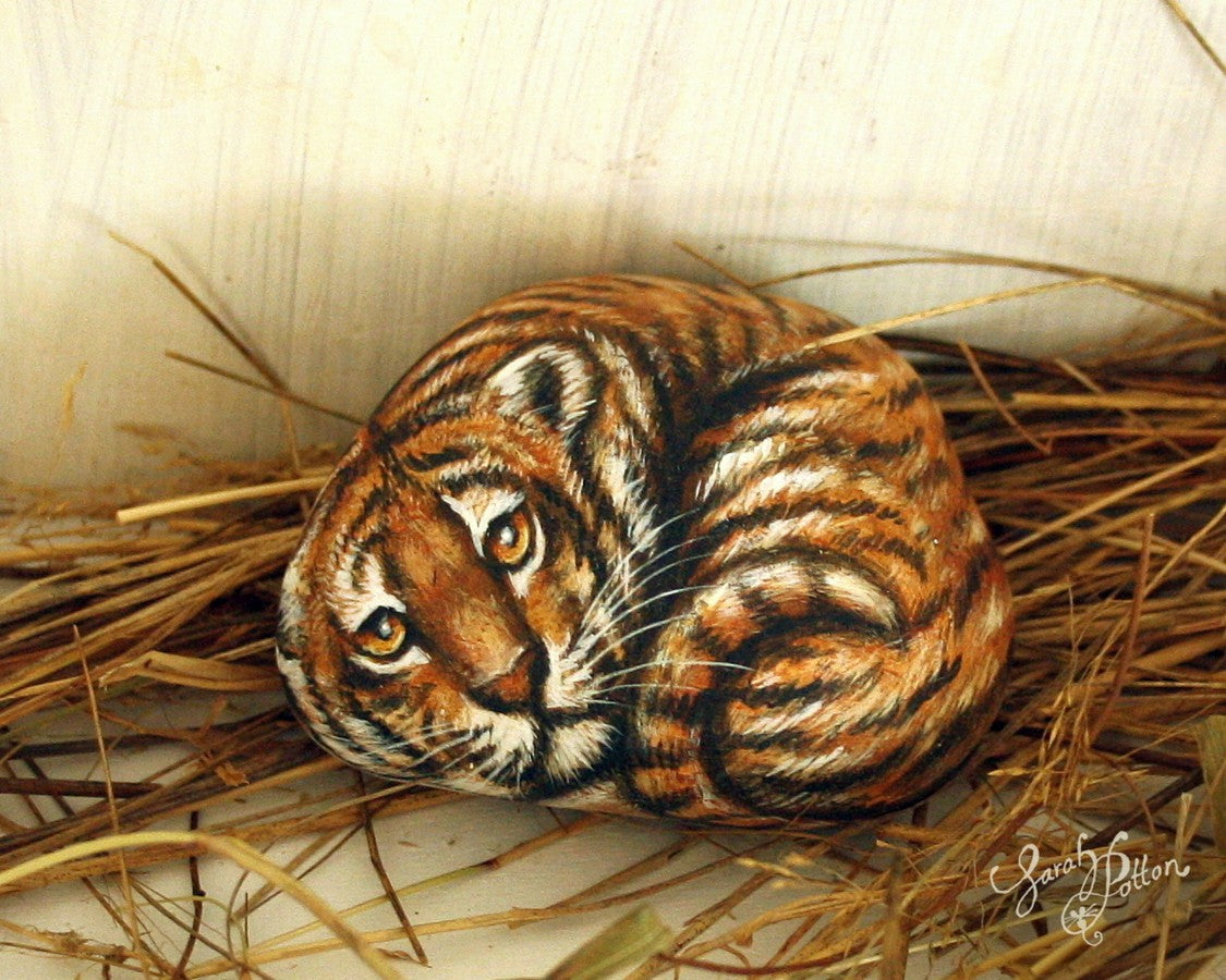 tiger painted rock by sarah potton
